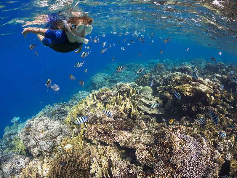 Boy-in-the-land-of-fish-000044027260_Large