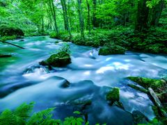 pixta_48832048_M