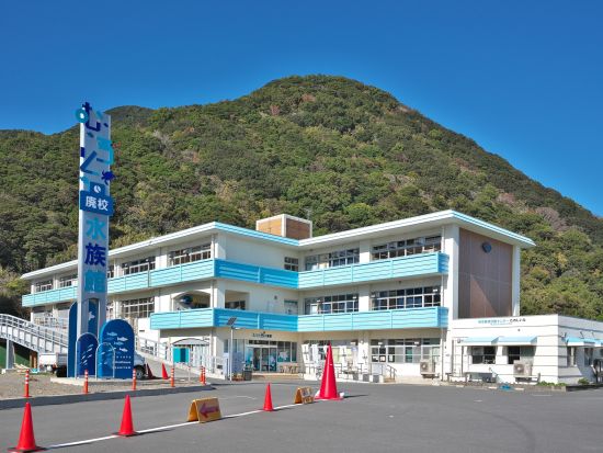 室戸岬人気スポット巡り！室戸岬＋室戸ユネスコ世界ジオパーク＋むろと廃校水族館＜貸切／7.5時間／高知市内発＞