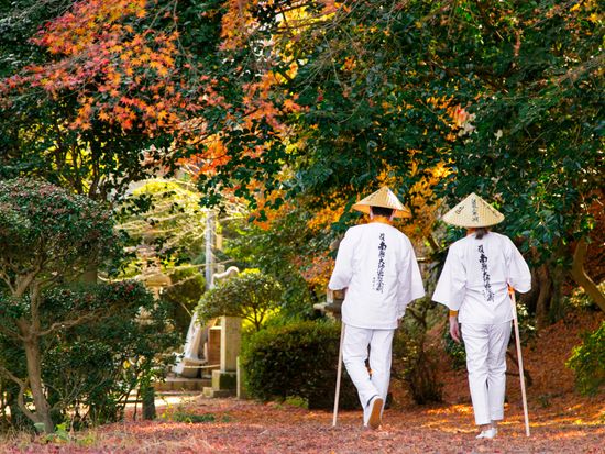 お遍路ツアー 愛媛伊予 菩提の道場 46 53番 5時間 選べる出発時間 松山発 愛媛の観光 遊び 体験 レジャー専門予約サイト Veltra ベルトラ お遍路ツアー 愛媛伊予 菩提の道場 46 53番 5時間 選べる出発時間 松山発 愛媛の観光 遊び 体験 レジャー専門予約サイト Veltra ベルトラ