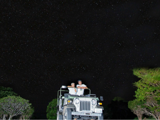 ナイトサファリツアー アマミノクロウサギや貴重な生き物を探しに行こう！4WDジープで夜の森を探検！＜住用町＞ by 元祖ナイトツアー