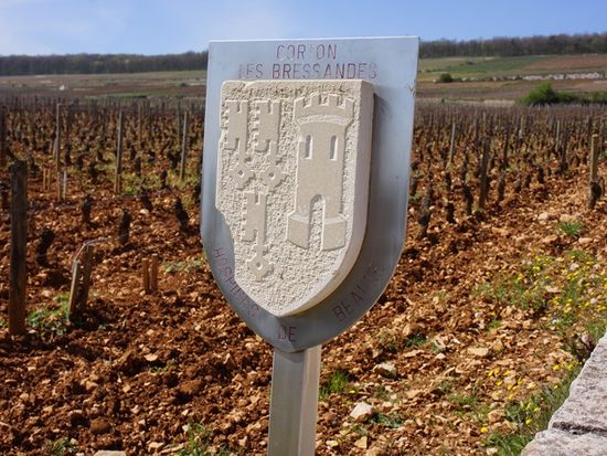 オスピス・ド・ボーヌの畑GCコルトン・ブ_レッサンド