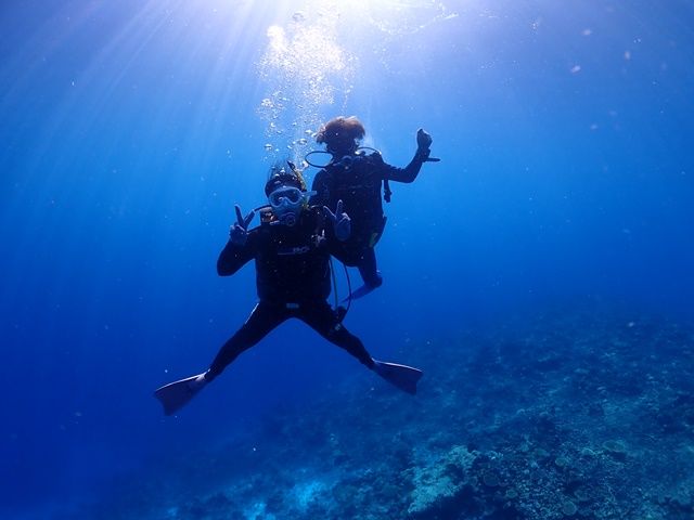 ダイビング | 宮古島 旅行の観光・オプショナルツアー予約 VELTRA