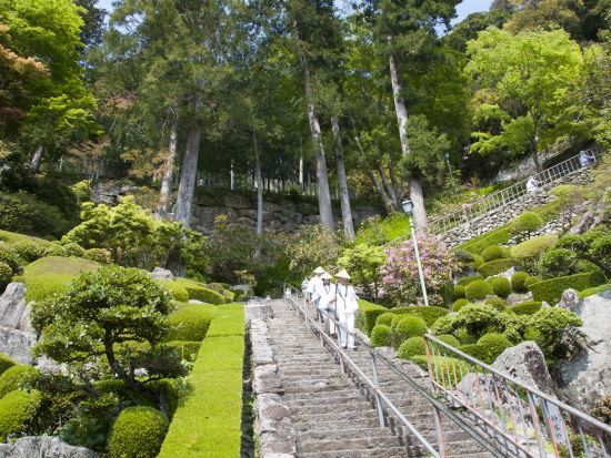 四国八十八か所霊場会公認先達ドライバーと行くお遍路巡り＜半日・１日／選べる出発時間／空港送迎可／高知市発＞