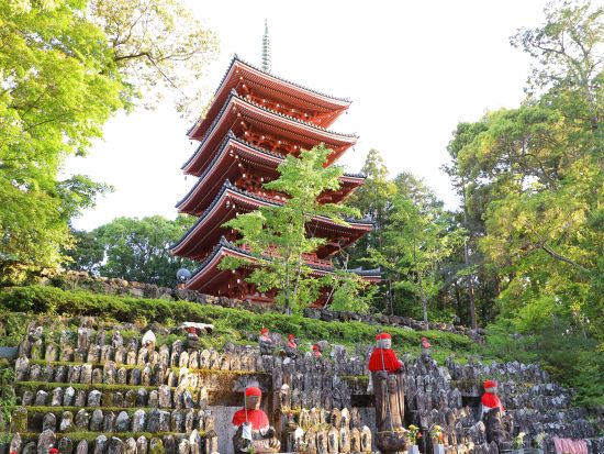 四国八十八か所霊場会公認先達ドライバーと行くお遍路巡り＜半日・１日／選べる出発時間／空港送迎可／高知市発＞