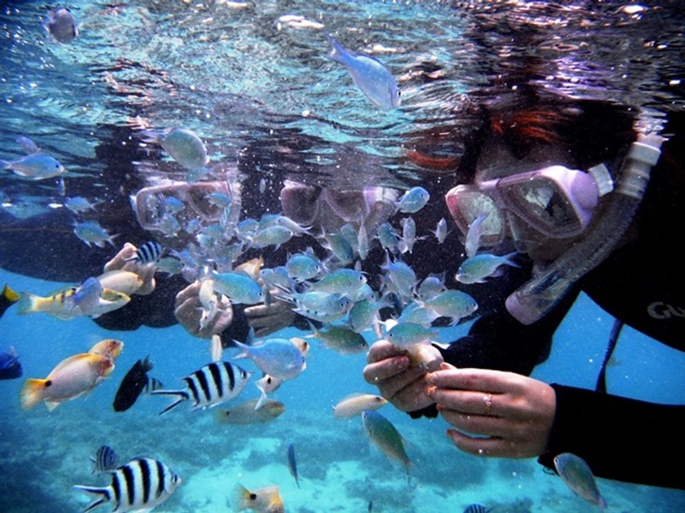 【はての浜】シュノーケリングツアー　グラスボートに乗って砂浜でできた無人島「はての浜」へ！
