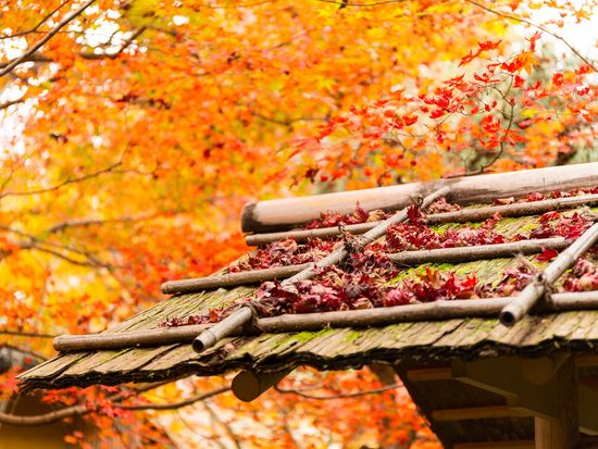 Japan_Kyoto_Enrian_Autumn_pixta_2815088