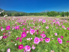 pixta_24791463_M