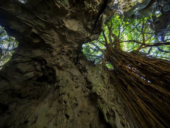 パワースポット巡り 世界遺産群「斎場御嶽(せーふぁうたき)」とガンガラーの谷1日ツアー＜ガイド／那覇市ホテル送迎あり／おきなわワールド入場券＋ランチ付＞