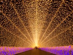 Japan_Mie_Nabana no Sato_Garden_Winter_Lighting Up_shutterstock_363903176