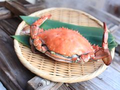 竭繝。繧、繝ウ