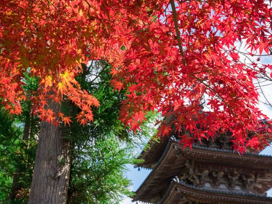 pixta_47025639_M