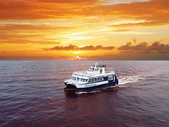 Maui Premium Sunset Cruise with Four-Course Dinner & Cocktails tours,  activities, fun things to do in Maui(Hawaii)VELTRA