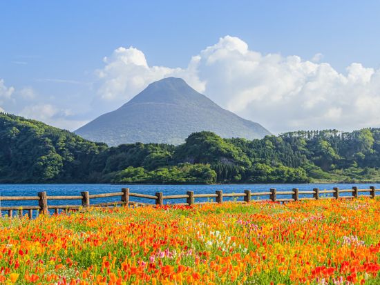 指宿市内発着貸切観光タクシー　長崎鼻 龍宮神社・西大山駅・フラワーパーク・たまて箱温泉など選べる南薩コース＜2.5～3時間＞by指宿観光交通株式会社