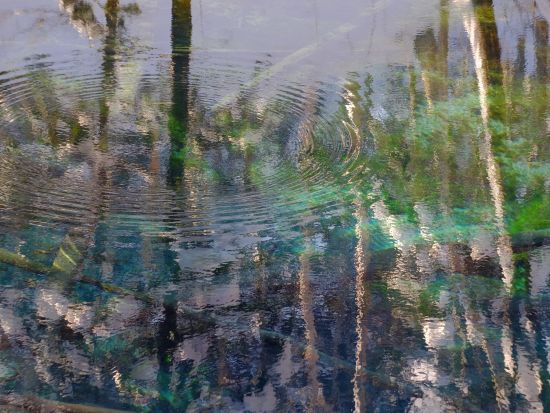 神の子池スノーシューツアー　冬は車では行くことのできない神秘的な神の子池を目指すスノーシューイング＜12～4月／網走市内＆斜里駅送迎付／斜里町＞