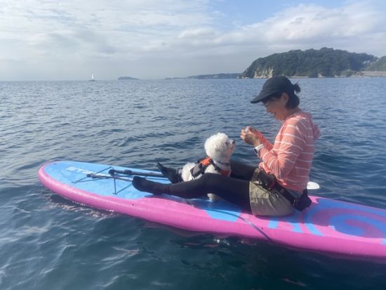 【愛犬連れOK】人気のSUP 体験ツアー 1日1組限定で初心者も安心！大型犬も歓迎＜初心者大歓迎／写真データプレゼント／貸切／半日／逗子＞
