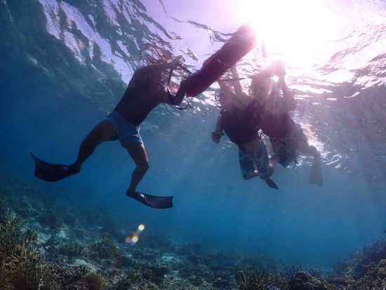 幻の島上陸＋ウミガメシュノーケリングツアー 石垣育ちのガイドと行く少人数制ツアー！水中カメラの無料レンタル 竹富島での途中離団OK＜半日／市街地送迎／石垣島発＞