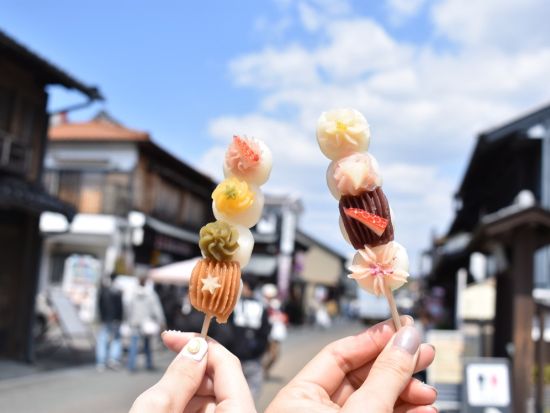 貸切観光タクシー　国宝犬山城＋犬山の城下町＋ハートの絵馬で話題の三光稲荷神社　話題のフォトジェニックスポットを効率よく巡る＜1日／1～9名／名古屋市内発＞