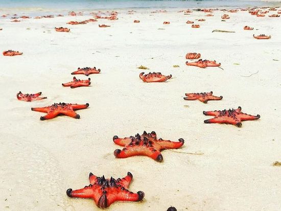 c407f3d8e3a2eb013089731f14194f01