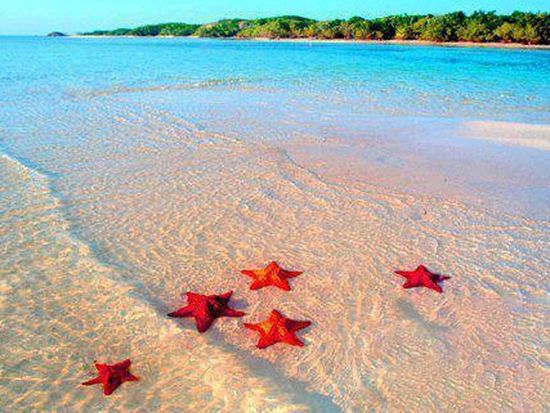 3687b63f0ae6b7af1dac562423294425