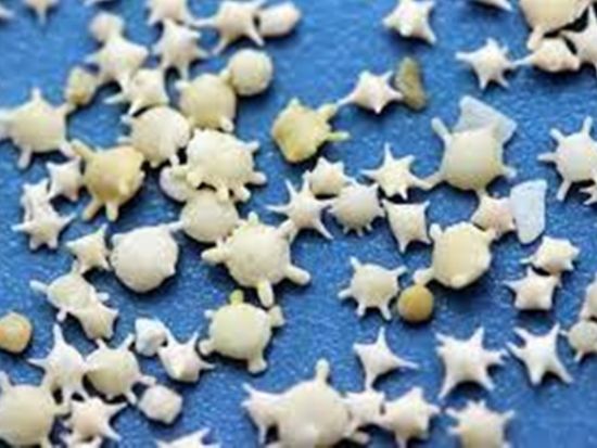 初心者向け！沖縄一番長い川 浦内川マングローブカヤックツアー＜午前／西表島上原地区無料送迎／西表島＞