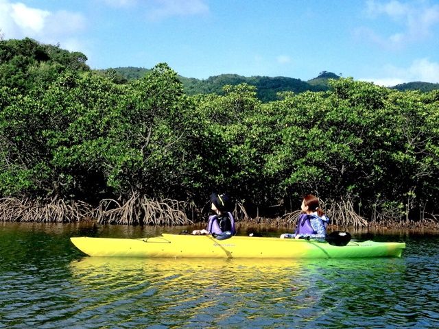 マングローブカヌー+ピナイサーラの滝トレッキングツアー 5歳から参加