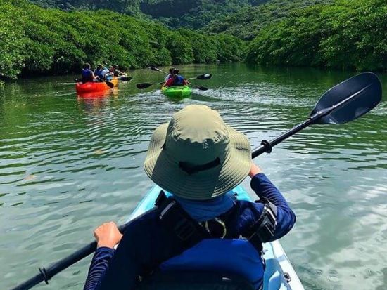 マングローブカヌー+ピナイサーラの滝トレッキングツアー　5歳から参加できてファミリーも大歓迎！由布島観光付き1日ツアーもあり♪＜西部地区無料送迎／西表島＞