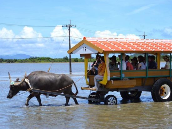 マングローブカヌー+ピナイサーラの滝トレッキングツアー　5歳から参加できてファミリーも大歓迎！由布島観光付き1日ツアーもあり♪＜西部地区無料送迎／西表島＞