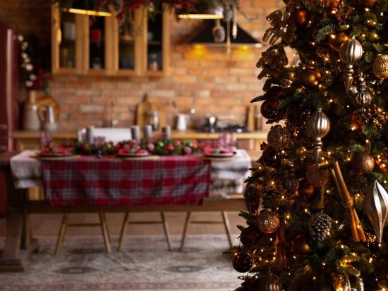 【11月＆12月限定】熟練シェフが教える！伝統のフレンチスタイル クリスマス料理教室 ＜英語インストラクター＞