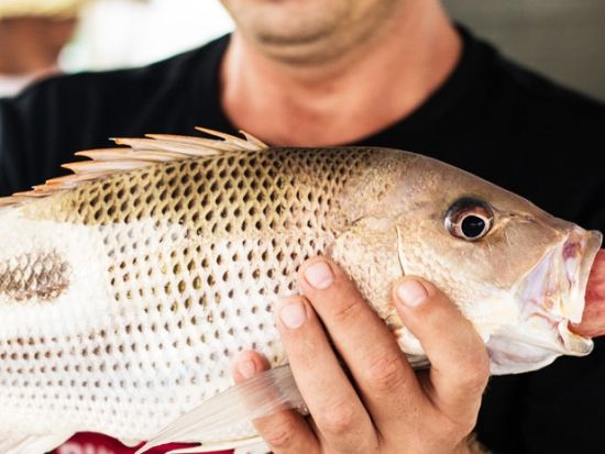 フーコック島魚釣りツアー　シュノーケリング＆真珠養殖場見学付きプランもご用意！＜専用車／英語ガイド／フーコック島発着＞