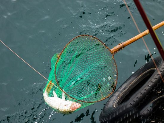 a3cec6a86125a7b13afd5cf9e1037ed9