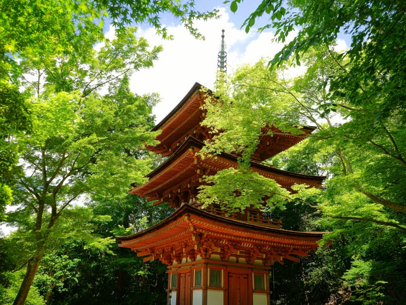 Japan_Nara_Joururi-temple_PIXTA_31368754