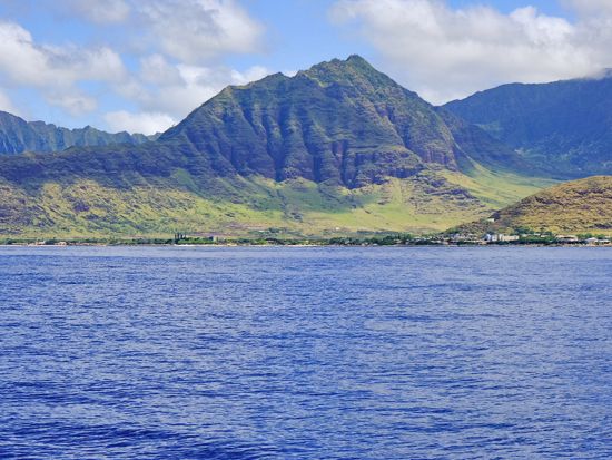 ホエールウォッチ　遭遇率の高い西オアフで鑑賞！アウラニやコオリナリゾートから車で20分　ソフトドリンク飲み放題付き＜西オアフ発／12/1～3/31＞
