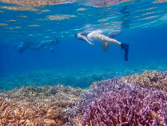 幻の島上陸＆シュノーケリング(4)