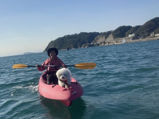 【愛犬連れOK】1日1組限定！シーカヤック体験ツアー 大型犬も歓迎！穏やかな海なのでカヌー初心者も安心＜初心者大歓迎／写真データプレゼント／貸切／半日／逗子＞