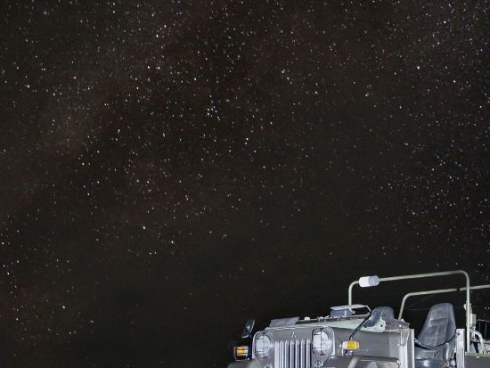 ミッドナイトツアー 4WDジープで真夜中の奄美をじっくり探検！アマミノクロウサギ遭遇率ほぼ100％＜2名～／住用町＞by 元祖ナイトツアー