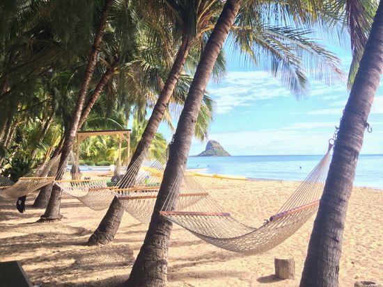 クアロア・ランチ　プライベートビーチでカヤック、SUP、バレーボールなどのビーチアクティビティを満喫＜半日または1日／送迎付きプランあり＞