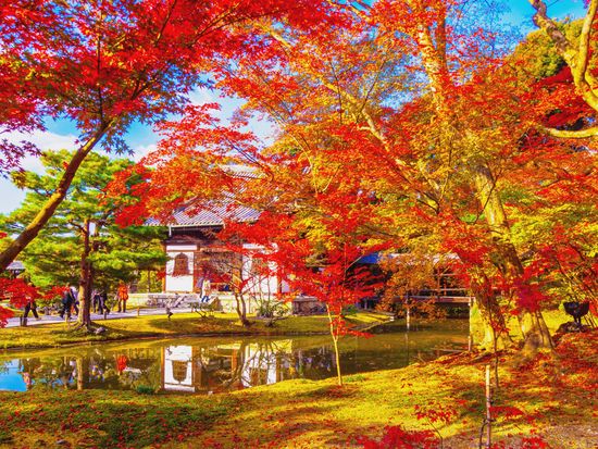 高台寺_80633656_XL