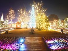 img_735x480_001