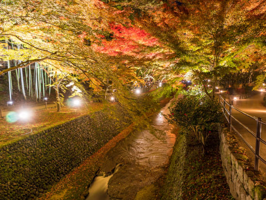 紅葉ライトアップバスツアー 舞妓の京舞鑑賞 北野天満宮 しょうざん庭園 21 11 13 12 5 懐石風京料理の夕食 京都駅発 By京都定期 観光バス 京都の観光 遊び 体験 レジャー専門予約サイト Veltra ベルトラ