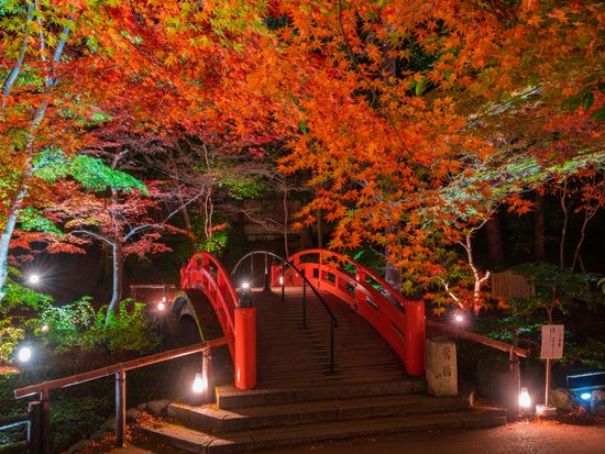 Japan_Kyoto_Kitano Tenmangu Shrine_pixta_71262423