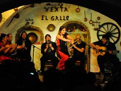 Alhambra Visita Guiada y Espectaculo flamenco