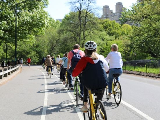 セントラルパーク　自転車レンタルサービス＜2時間～／現地集合・解散＞by Unlimited Biking