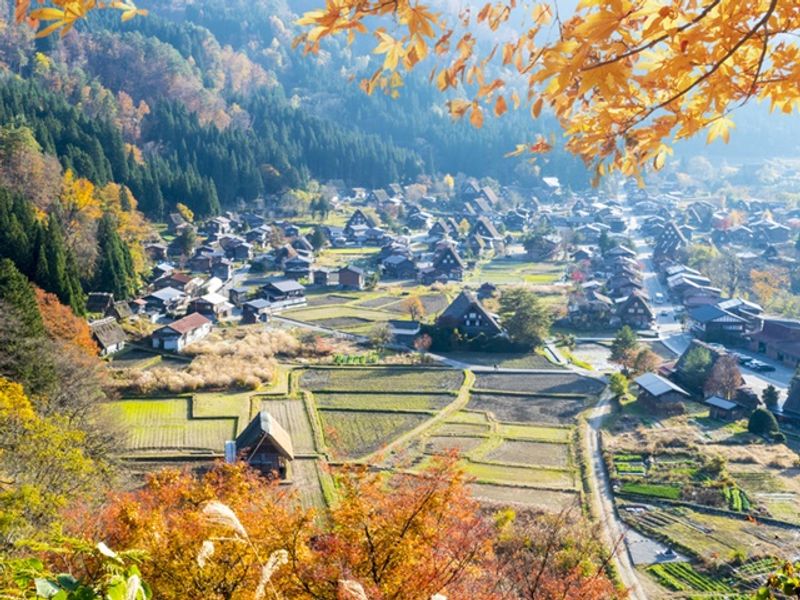 金沢発着 世界遺産 白川郷 飛騨の小京都 高山を巡る貸切観光タクシー 家族旅行やプライベート旅行におすすめ 1 9名 9時間 金沢の観光 遊び 体験 レジャー専門予約サイト Veltra ベルトラ
