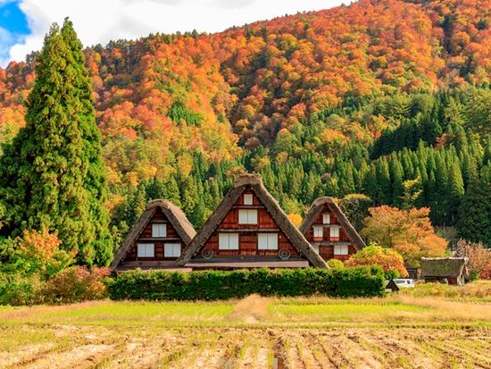 金沢発着 世界遺産 白川郷 飛騨の小京都 高山を巡る貸切観光タクシー 家族旅行やプライベート旅行におすすめ 1 9名 9時間 金沢の観光 遊び 体験 レジャー専門予約サイト Veltra ベルトラ