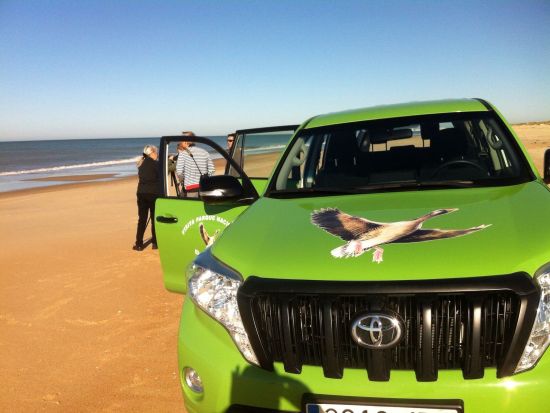 ドニャーナ国立公園＆聖地エル・ロシーオ 観光ツアー　アンダルシアの自然と歴史を満喫 ＜セビリア発＞