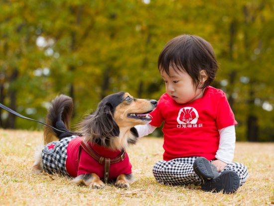 【愛犬参加OK！】出張撮影　都内から関東圏のご宿泊先、公園、ご自宅などのお好きなロケーションで記念撮影＜50～100カット／60分または90分＞