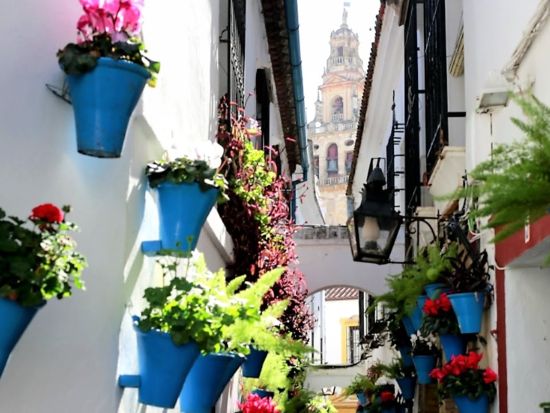 世界遺産 イスラム文化が残る歴史都市コルドバ　日帰り観光ツアー＜英語ガイド／セビリア発＞