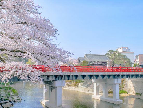 貸切観光タクシー 白川郷＋飛騨高山 高山市内にお送り 合計4時間たっぷり散策＜選べる車種／1日／1～9名／金沢発高山着＞by 冨士タクシー