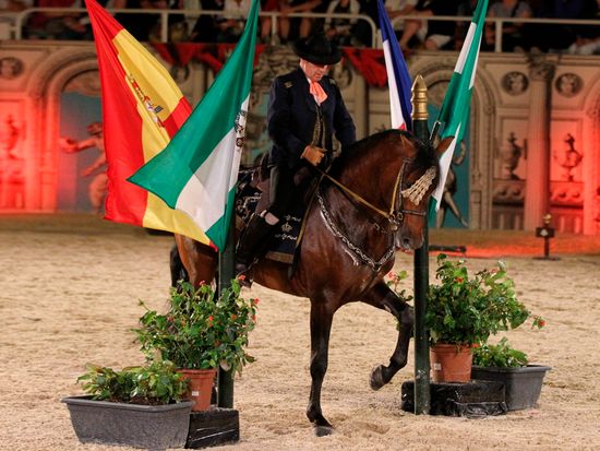 real-escuela-arte-ecuestre